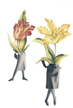 Cargar imagen en el visor de la galería, Flores de Siam 2