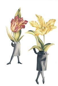 Flores de Siam 2